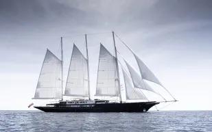 مشهد طبيعي نادر.. كيف تحوّل يخت بيزوس إلى مسرح للدلافين؟ (فيديو)