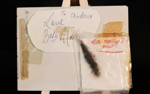 عرض خصلة من شعر بوب مارلي في مزاد عبر الإنترنت.. وهذا سعرها