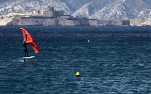 لحظة درامية في سان فرانسيسكو: لاعب تزلج شراعي يصطدم بحوت رمادي! (فيديو)