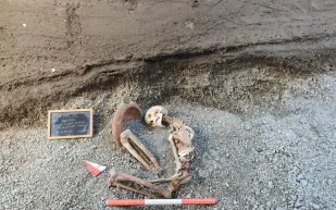 الذكاء الاصطناعي يُعيد "ضحايا بومبي" إلى الحياة.. صورة مذهلة للحظات الهروب الأخيرة