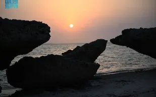 جزر فرسان تشق طريقها نحو العالمية: أول محمية بحرية سعودية ضمن قائمة رامسار