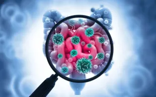 غدة "منسية" قد تكون سر إطالة عمر جهاز المناعة