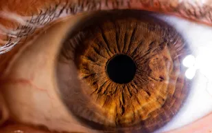 حدقة العين تفضح مشاعرك.. دراسة تكشف الفارق بين الغضب والحزن 