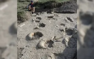 آثار ديناصورات منغوليا المفقودة تظهر بعد 70 عامًا.. ماذا كشفت؟
