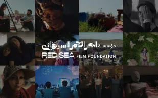 مؤسسة البحر الأحمر السينمائي تسجل حضورًا قياسيًا في سباق جوائز الأوسكار بمشاركة 12 فيلمًا مدعومًا