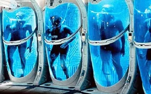 تجمدوا لتعودوا للحياة مستقبلاً !!!