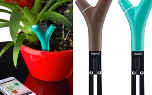 الكشف عن جهاز جديد يستخدم لـ "فهم لغة النبات"