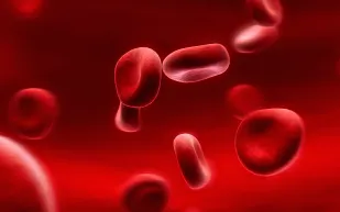 معلومة لا بد ان يعرفها الجميع عن فصيلة دمهم.