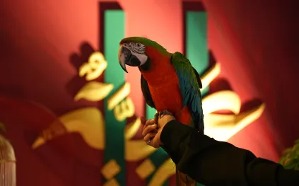 غدًا.. ختام معرض "أنا عربية" في موسم الرياض بعد أيام من الفخامة والموضة العربية