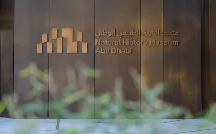 متحف التاريخ الطبيعي أبوظبي.. رحلة عبر 13.8 مليار عام من تاريخ الكون