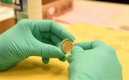 البنس الأمريكي ينهي مسيرته التاريخية بسعر مذهل في مزاد عالمي