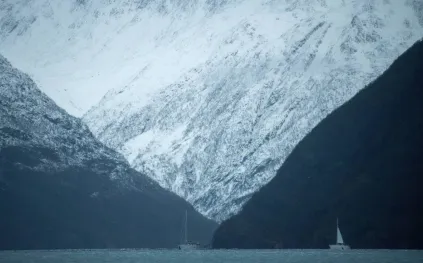 هل اقترب القطب الشمالي من صيف بلا جليد؟ تقرير أمريكي يوضّح