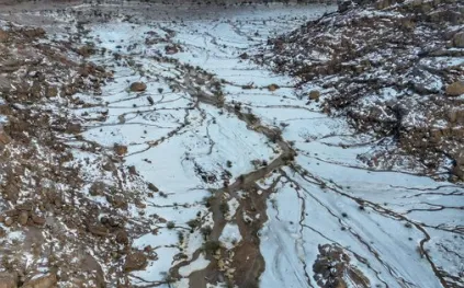 مشهد شتوي نادر يكسو جنوب حائل بالبياض ويخطف الأنظار (فيديو)