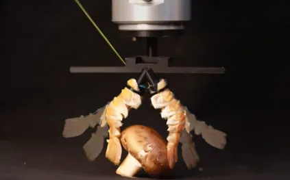 مهندسون سويسريون يحولون قواقع الكركند إلى أجزاء روبوتية صديقة للبيئة (فيديو)