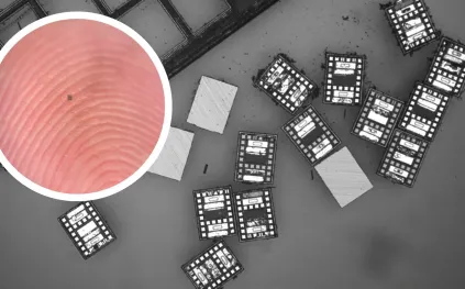 روبوتات بحجم البكتيريا تُحدث ثورة في الذكاء الصناعي النانوي.. كيف تعمل؟