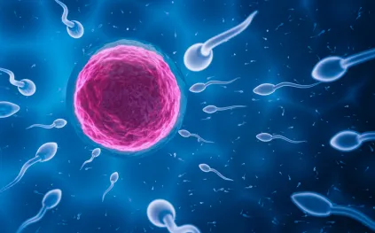 خبيرة خصوبة تكشف 8 عادات للرجال تقلل فرص الإنجاب