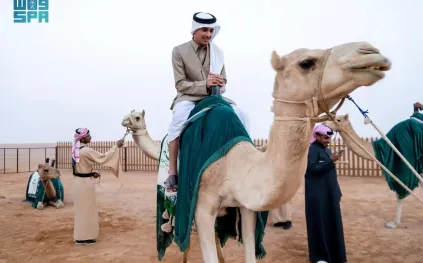 مهرجان خادم الحرمين للهجن.. كل ما تريد معرفته وقيمة الجوائز