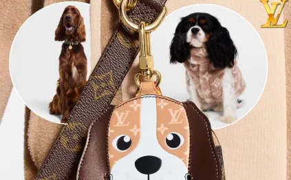 لويس فويتون تدخل عالم الفخامة للحيوانات الأليفة بإكسسوارات مميزة