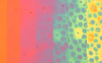 علماء ستانفورد يبتكرون جلدًا ذكيًا يغير لونه وملمسه في ثوانٍ