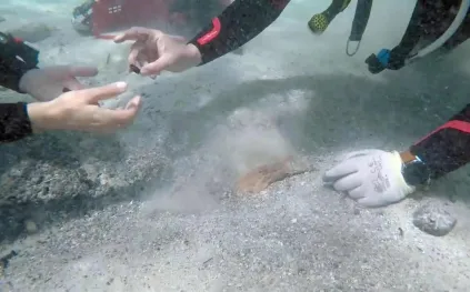 سردينيا تكشف عن أضخم كنز للعملات الرومانية في العصر الحديث