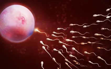 اختراق علمي يفتح الباب أمام وسائل منع حمل غير هرمونية للرجال