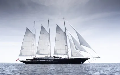 مشهد طبيعي نادر.. كيف تحوّل يخت بيزوس إلى مسرح للدلافين؟ (فيديو)