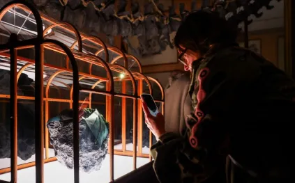 حقيبة من كولاجين ديناصور T. rex.. تعرف على السعر المذهل 