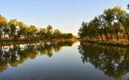 مزارع عائلة فريمان تبحث عن مشترٍ: إمبراطورية زراعية نادرة للبيع