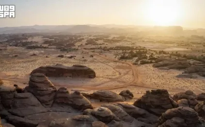 العُلا تُبرز إرثها الحضاري في اليوم العالمي للمتاحف