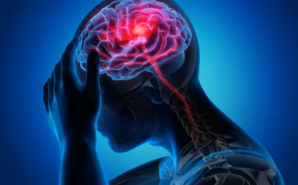 مفاجأة علمية: كيف يؤثر هرمون الإستروجين على دماغ الرجل أيضًا؟