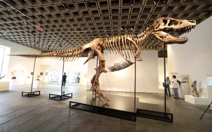 50 مليون دولار لـ"غاس".. مزاد تاريخي يحول "T. Rex" إلى أزمة علمية