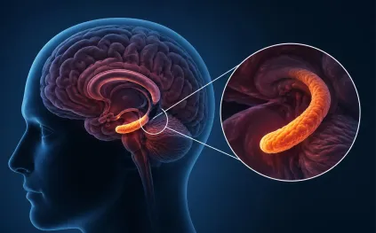 الاكتئاب يلتهم دماغك.. دراسة تكشف تأثيره على منطقة مهمة للذاكرة