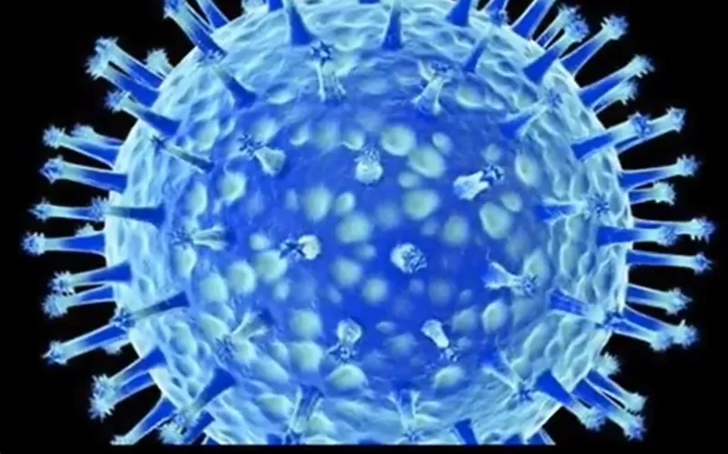 ابوظبي: 12 اصابة كورونا جديدة 