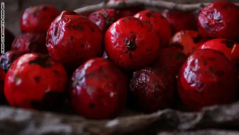 أفضل مطعم في العالم هو..