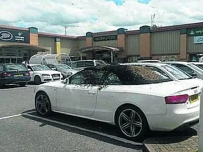 بالصورة: عائلة تفاجأ بأسراب من النحل تغزو سيارتها