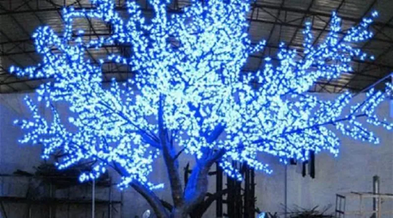 أشجار تضيء بنفسها لإنارة الشوارع