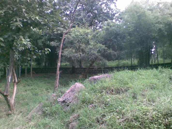 برنامج جديد من تلفزيون الواقع تلد فيه النساء في العراء