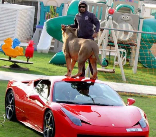 بالصور :الاماراتي صديق الأسود يحظى بربع مليون متابع على انستجرام.