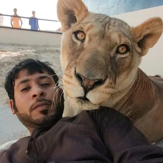 بالصور :الاماراتي صديق الأسود يحظى بربع مليون متابع على انستجرام.