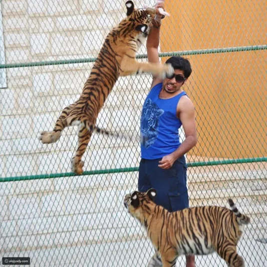 بالصور :الاماراتي صديق الأسود يحظى بربع مليون متابع على انستجرام.