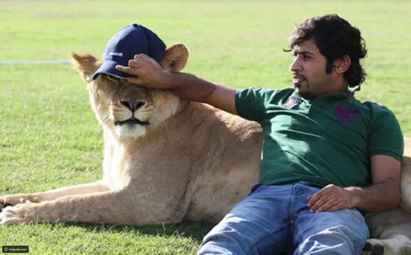 بالصور :الاماراتي صديق الأسود يحظى بربع مليون متابع على انستجرام.