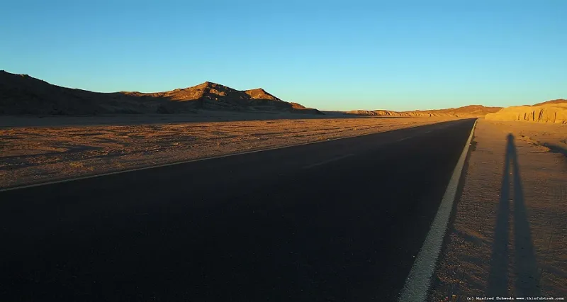 شاحنة تدهس إبل بملايين الريالات فى السعودية   