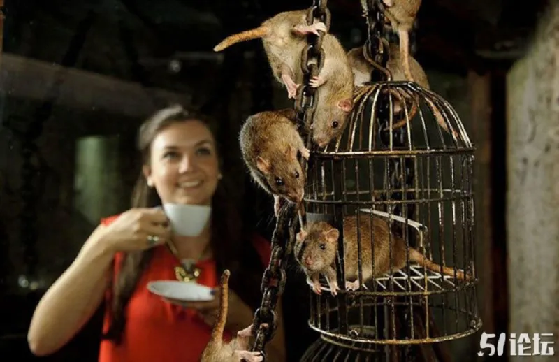 بالصور: هل تجرؤ على دخول مقهى الجرذان في لندن