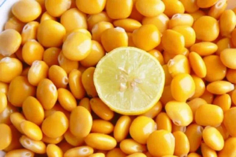 الترمس طبق للتسلية