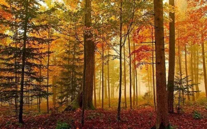 10 أشياء غير متوقعة تؤثر على مزاجك طوال اليوم