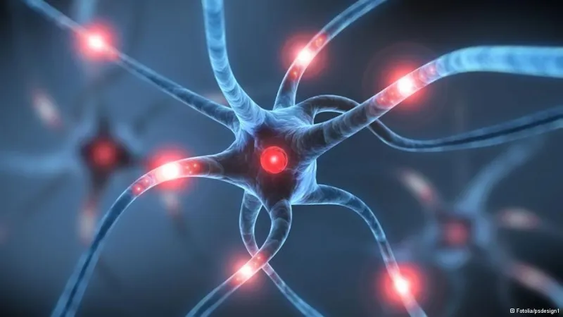 الدماغ مصدر الاختلافات السلوكية بين المرأة والرجل