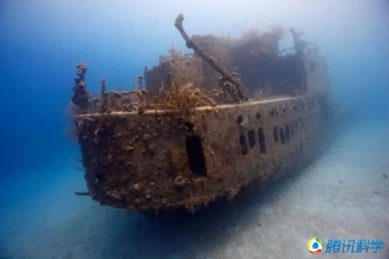 عائلة تعثر على كنز غارق منذ 300 عام قبالة الساحل الشرقى لفلوريدا