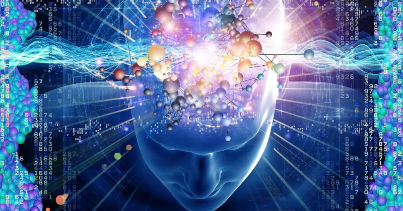 شركة إماراتية متخصصة بتنشيط الذاكرة الضعيفة