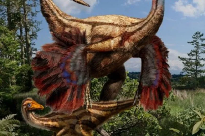 ديناصورات تحورت على مدى 50 مليون سنة لتصبح طيوراً!