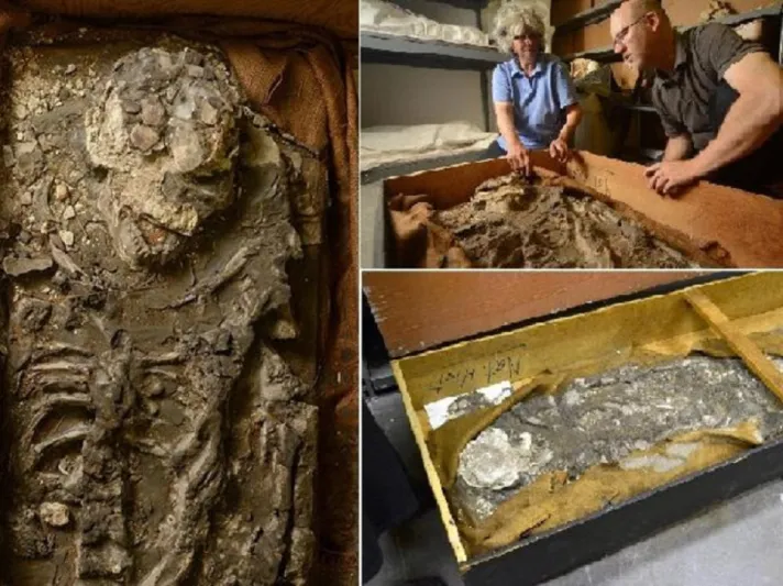 هيكل "نوح" العظمي يظهر من الطين بعد 6500 عام